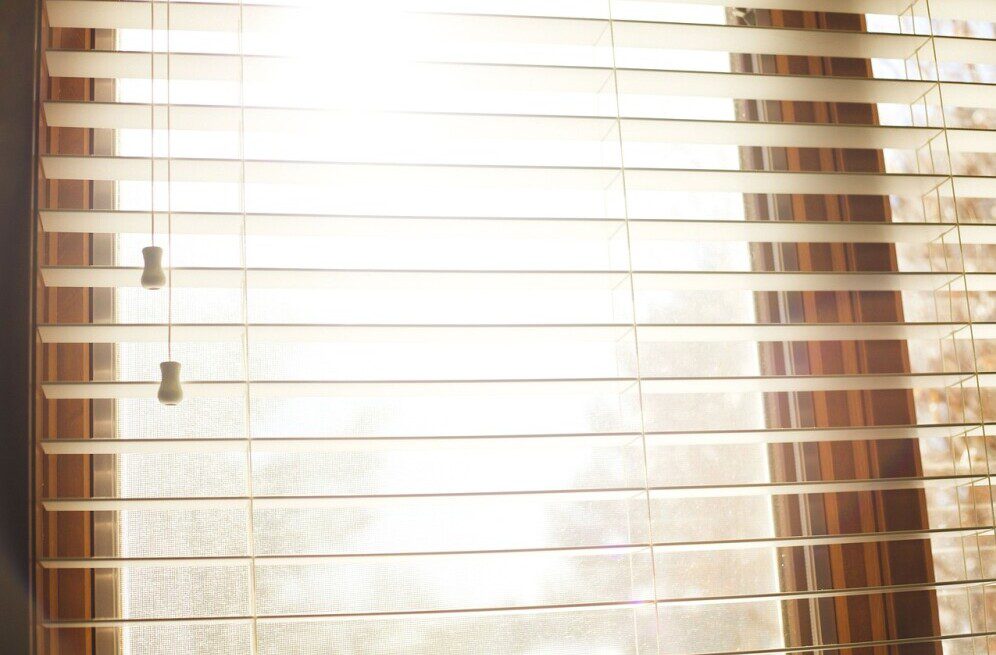 window blinds 1